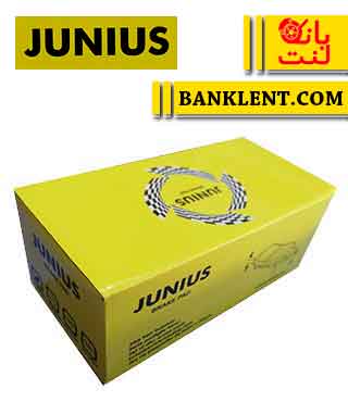 لنت ترمز عقب سوناتا ۴ سیلندر 2009 به بالا جونیوس JUNIUS